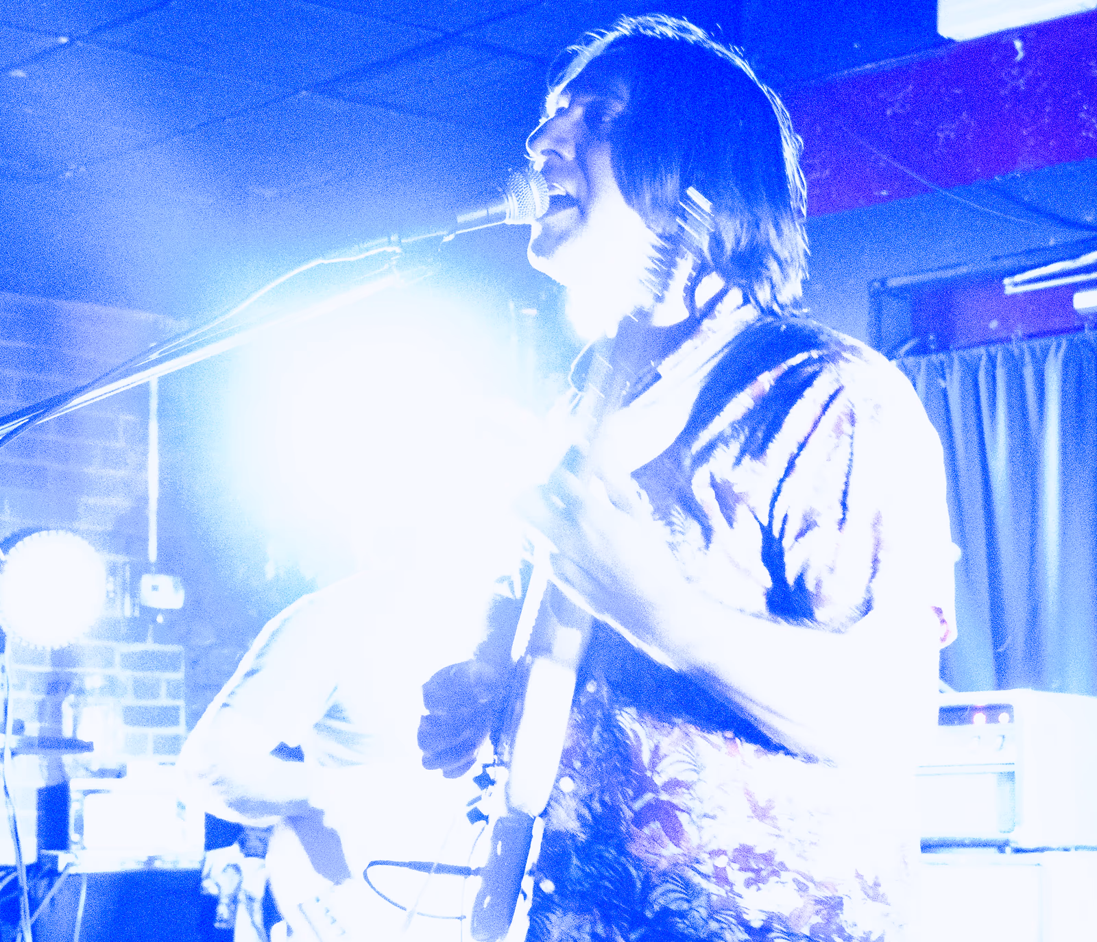 The Harlequins at Chameleon Pizza